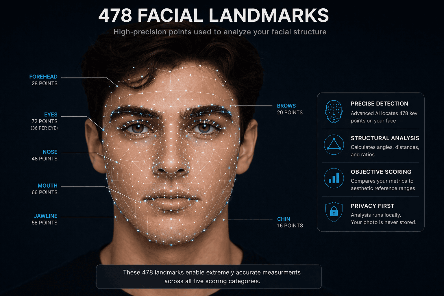 Facial landmark map used to organize visible face regions for analysis