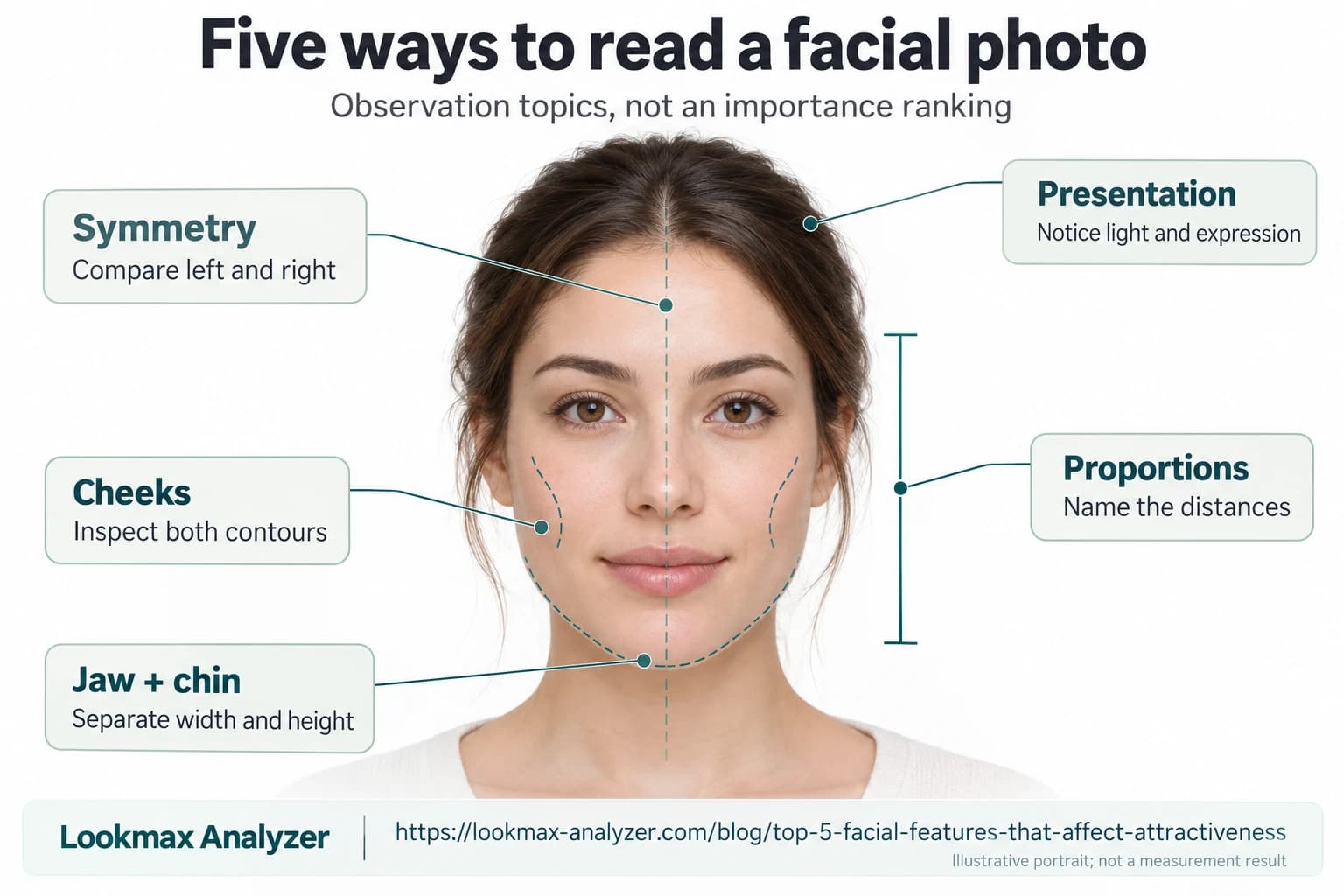 Fictional frontal portrait with callouts for symmetry, proportions, jaw and chin, cheeks, and presentation; no scores or importance ranking.