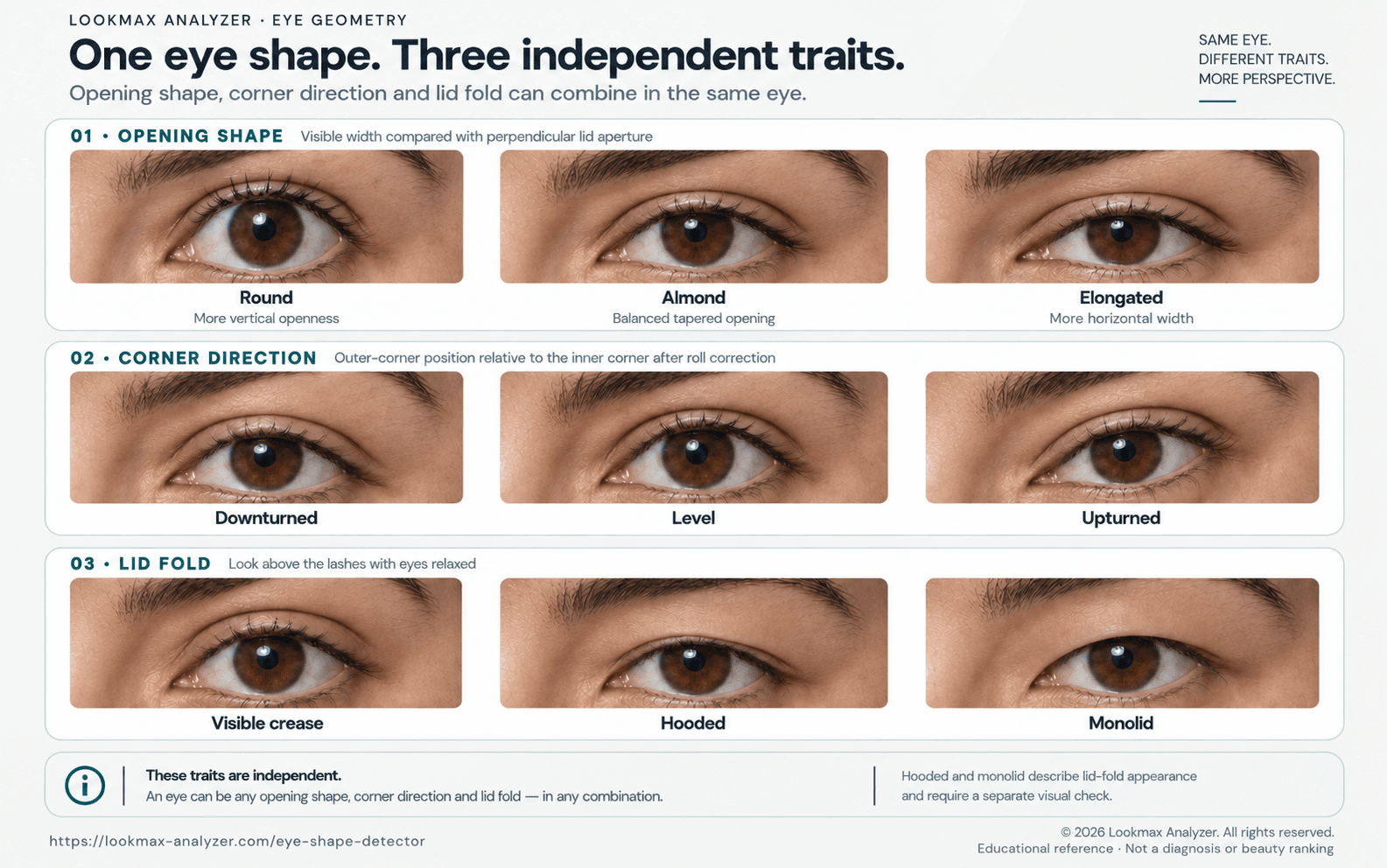 Round, almond, and elongated openings; downturned, level, and upturned corners; and visible crease, hooded, and monolid lid-fold appearance