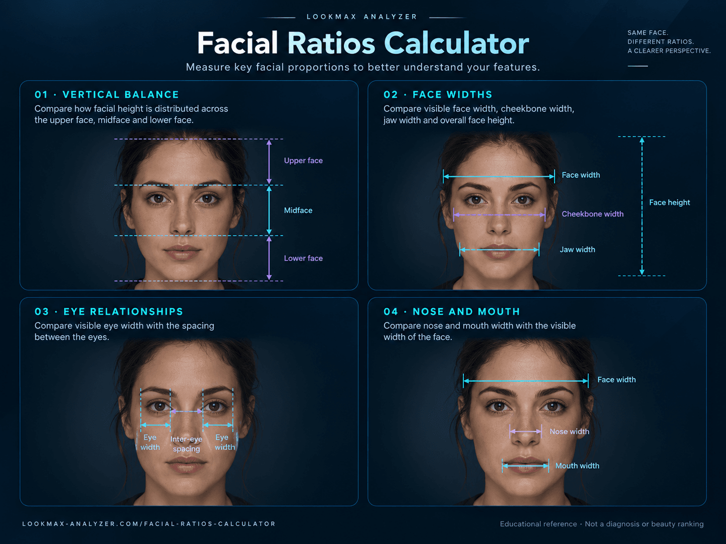 Facial ratios measurement guide showing vertical balance, face widths, eye spacing, nose width, and mouth width on front-facing portraits