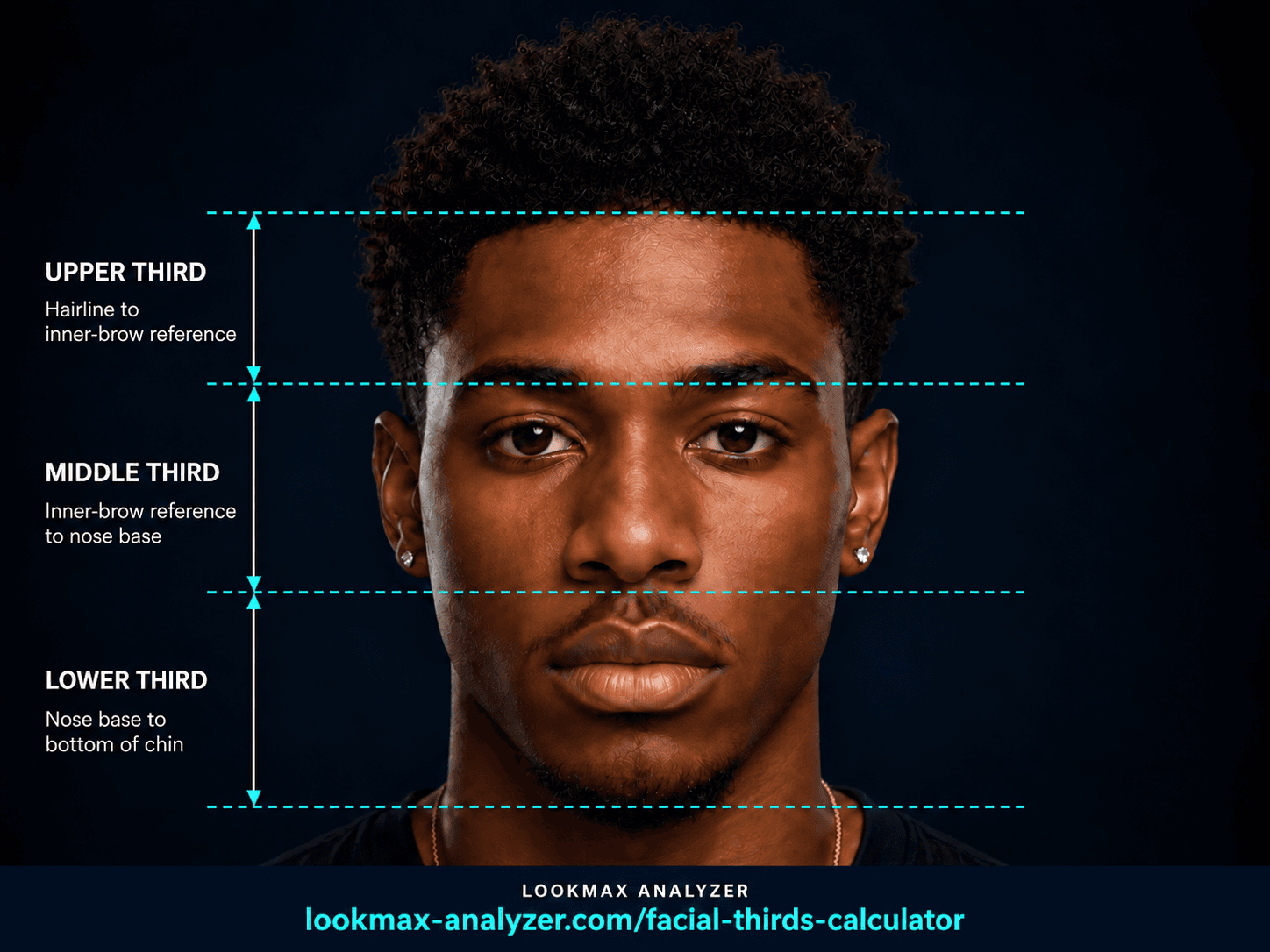 Illustrated face with four horizontal guides at the central hairline, inner-brow reference, nose base, and bottom of the chin, showing upper, middle, and lower facial thirds.